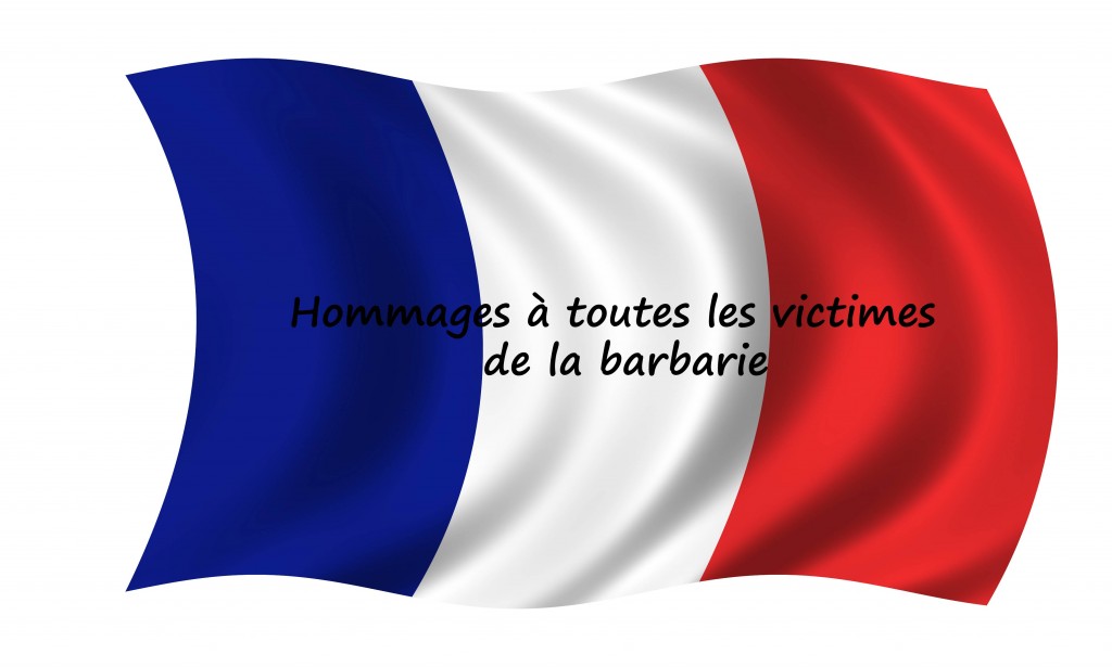La France en deuil le 13 novembre 2015